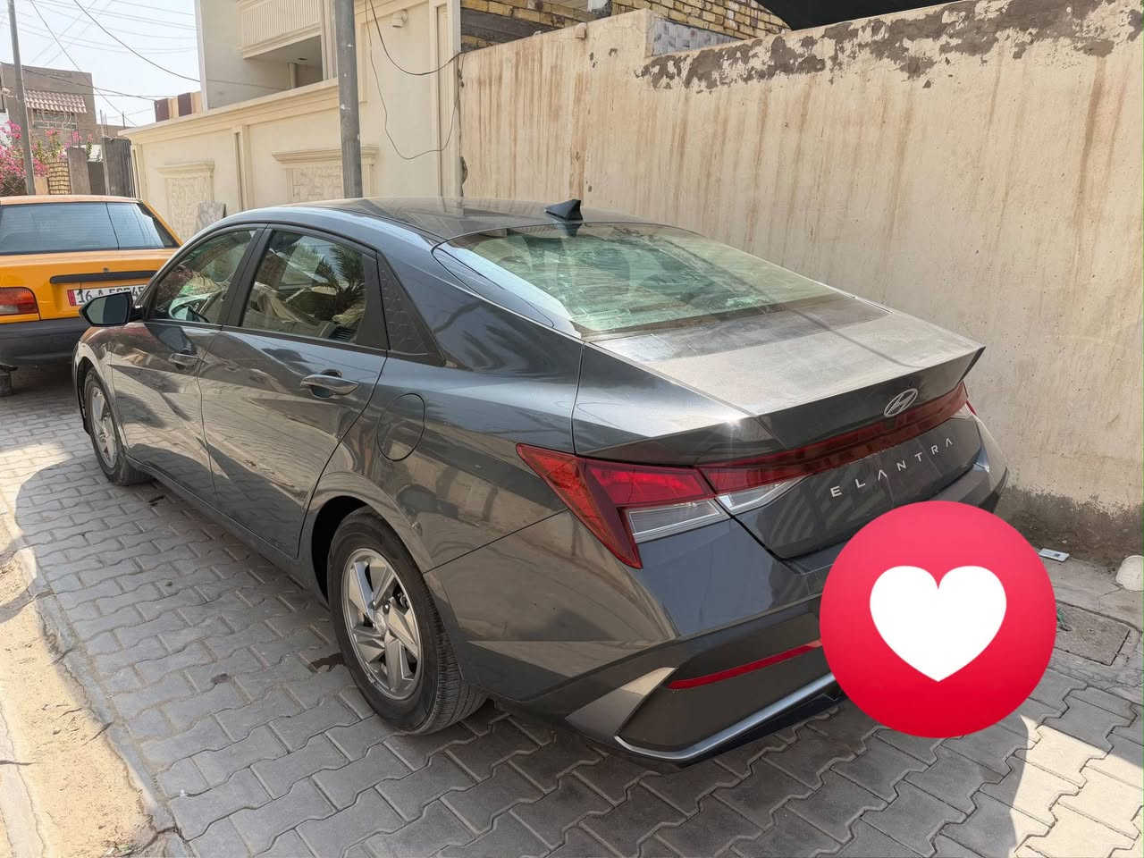 النترا • ٢٠٢٤ • وارد امريكي