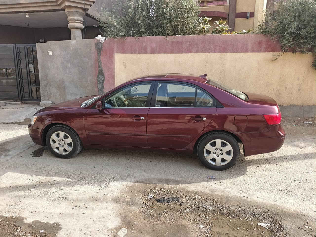 سوناته • ٢٠٠٩ • كفالة