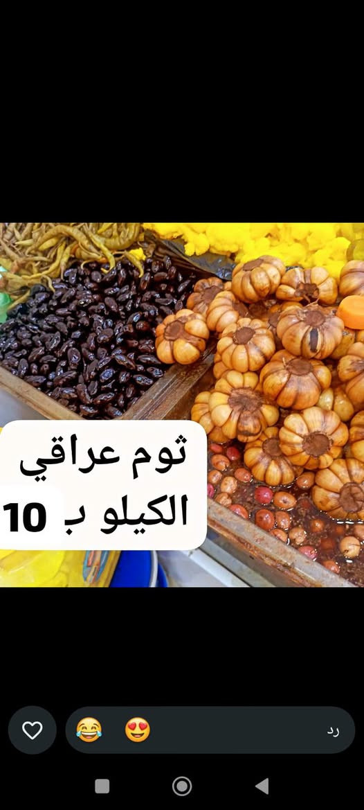 طرشي • توصيل • حجز واتساب