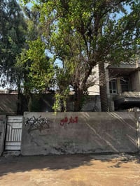 مدينة الصدر • ١٤٤م • واجهة ٨م