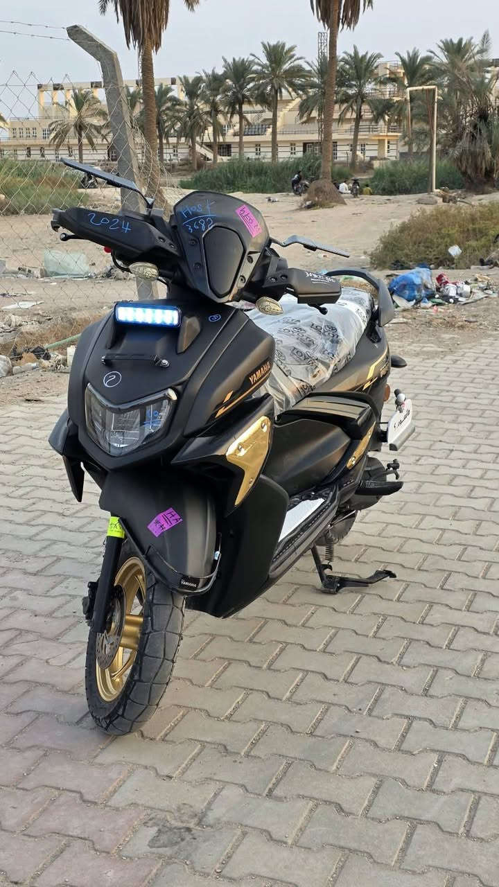 راي • ٢٠٢٤ • درع