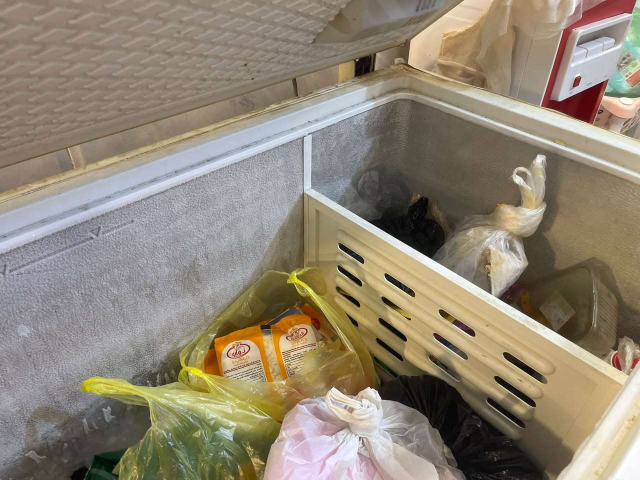 مجمدة • حجم كبير • فول تجميد