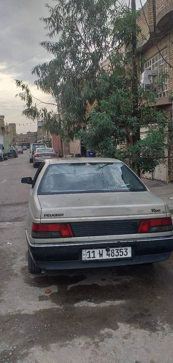 بيجو روا • ٢٠٠٩ • رقم بغداد