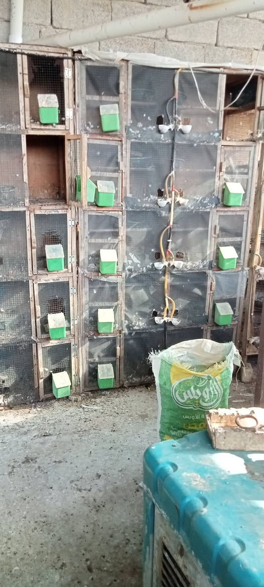متاح خانات كاملات طوافة وسلة ومعلف خمسة الوكرات ام10وحدة ام ال9المكان بعقوبة تقاطع السادة الربع ب5
***********
