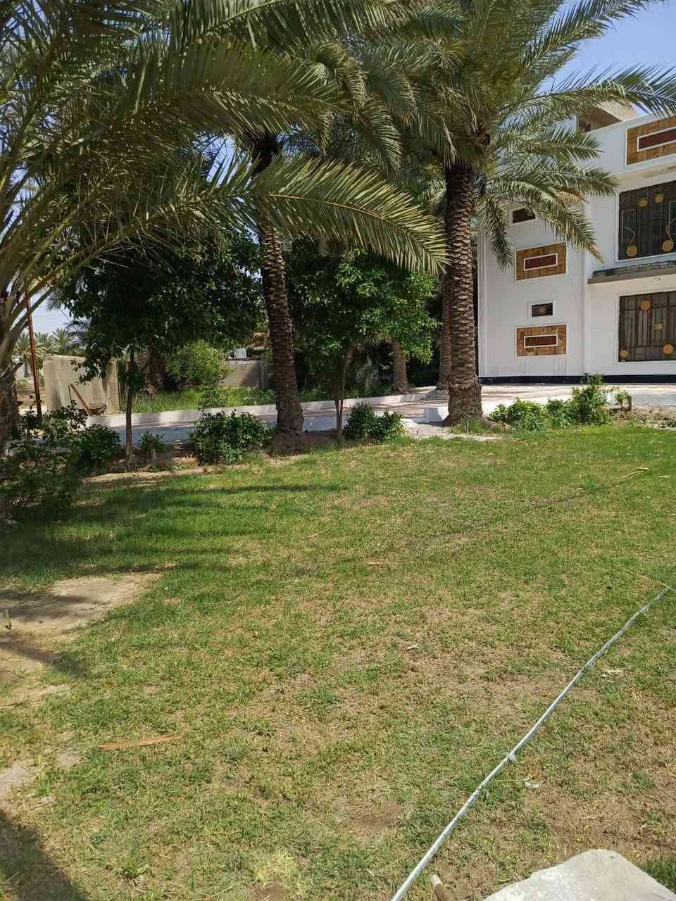 دونم وربع • بيت ٢٤٠م • واجهة ٥٠م