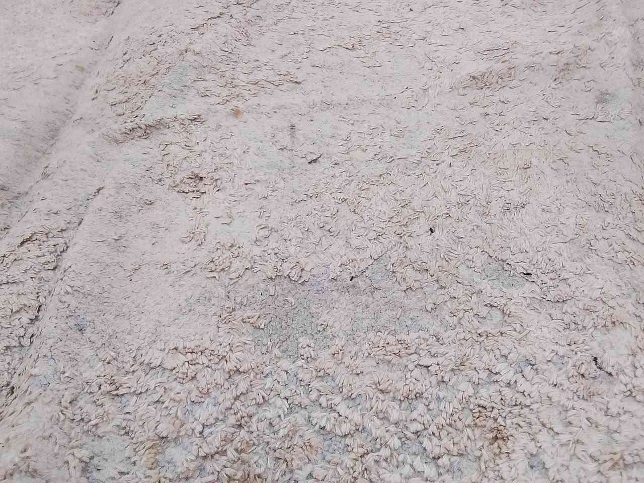 بساط ومحافير للبيع
الاسعار مختلف والاحجام مختلف. خذ صوره و ع خاص 
تبدي الاسعار من 5الف الئ 35الف حسب الحجم 
عنوان موصل حي البكر
