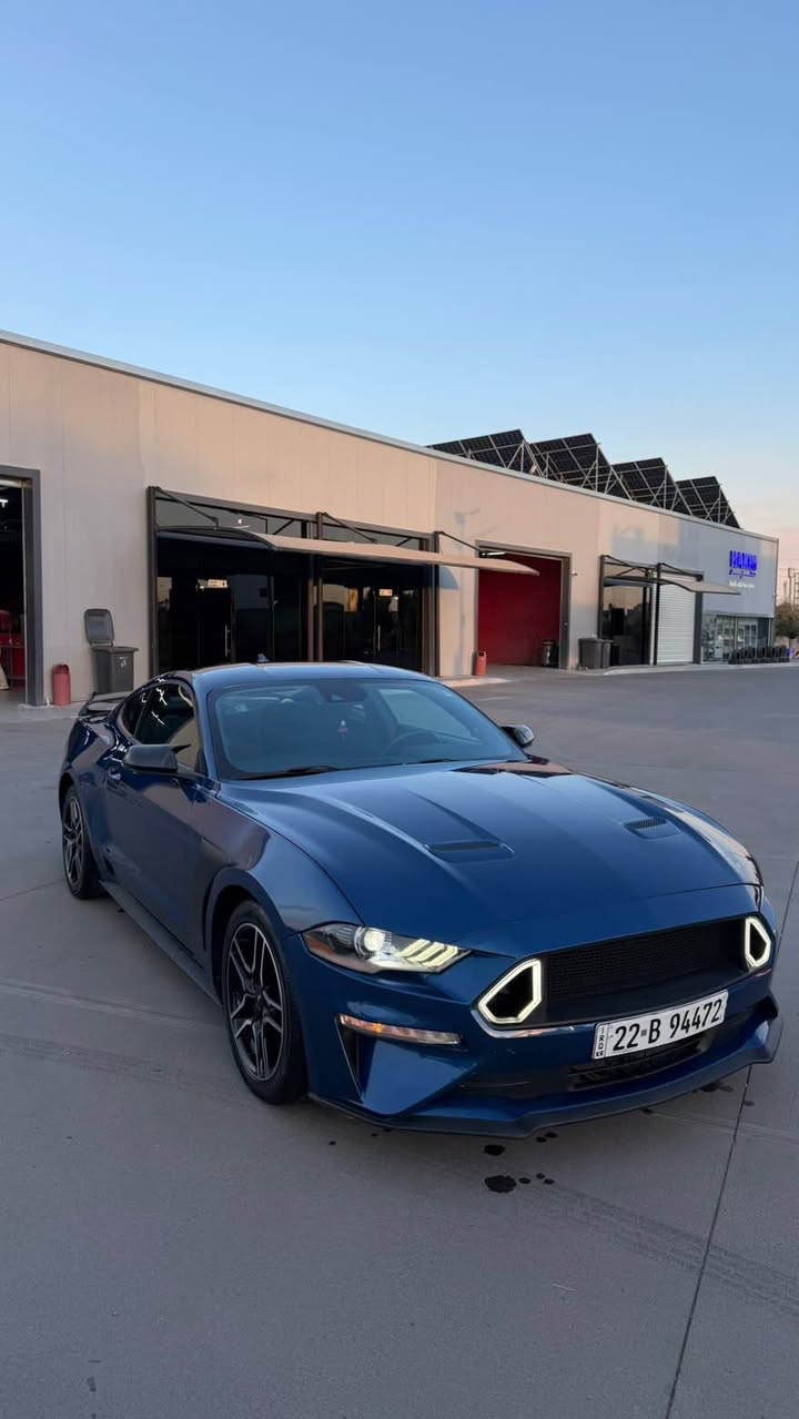 فۆرد مۆستانگ ایکۆ بۆست مۆدیل ٢٠٢٢ شاشە گەورە کوشن کارابای ٢ پارچە سبوخ دەرکەی لای سەکن و چاملخ کەمیک دۆسەی گرتوە ئیرباگ بەس شان لای سەکن پێش و پشت کەپس سەقفی ٢ قۆپ pdr ٢٣ مایل رۆشتوە *********** whatas app

فورد موستانج إيكو بوست موديل 2022 بشاشة كبيرة مبطنة من كارابي مقعد مكون من قطعتين ومقعد جانبي على باب المقعد وتشاملاخ يواجه بعض المشاكل، لكن المقعد الجانبي على الكتف في المقعد الأمامي والخلفي، سقف بزرين PDR 23 ميل اربيل ١٧٠$ بى مجال أربيل, العراق
