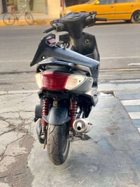 سكنس فحل • ياباني • مكفوله