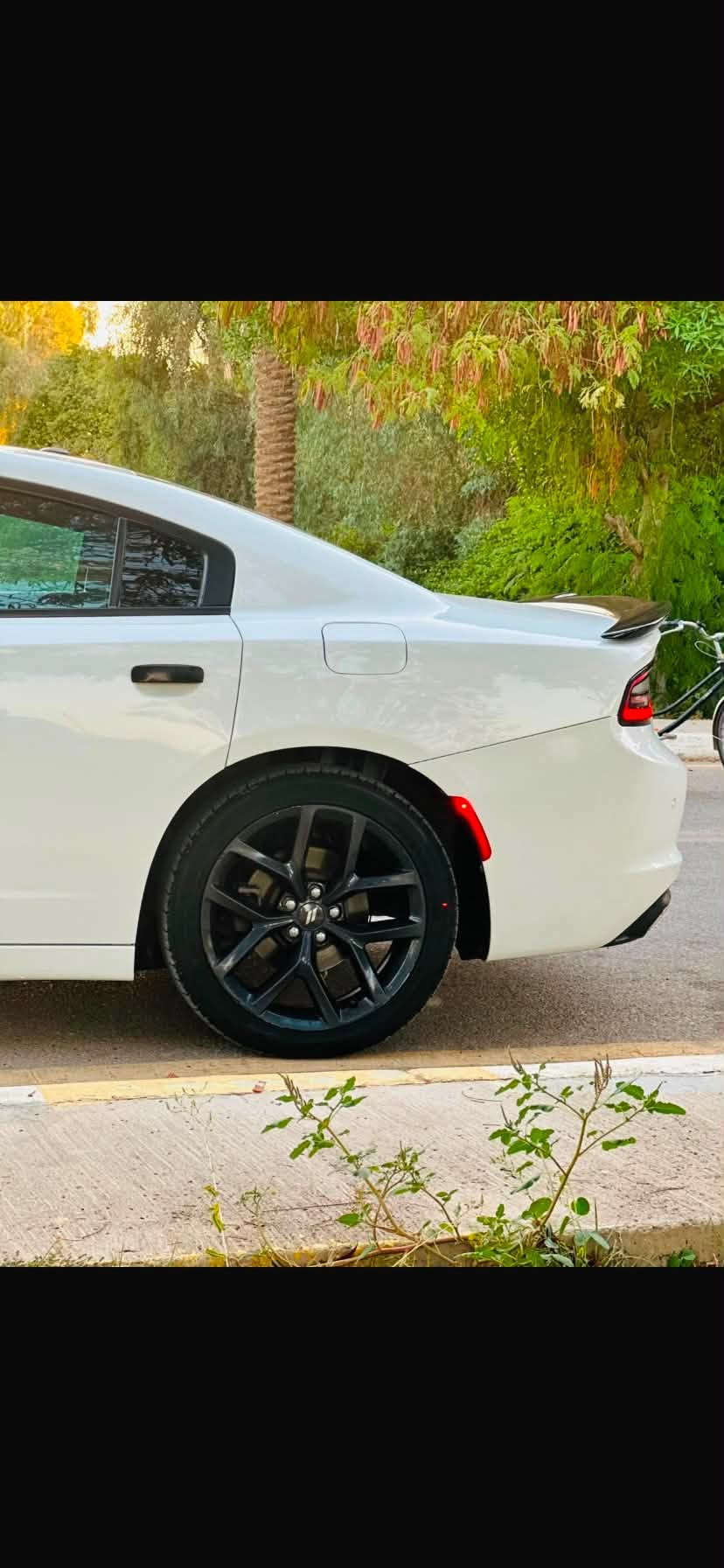 خليجية • فول مواصفات • ٢٠١٩