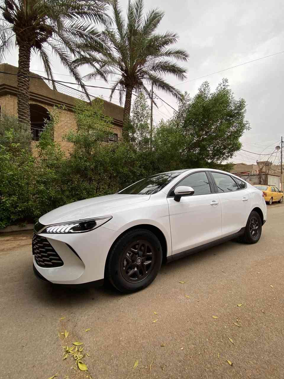 كفالة عامه • طخة بالصندوك • ماشي ١٢٠٠٠