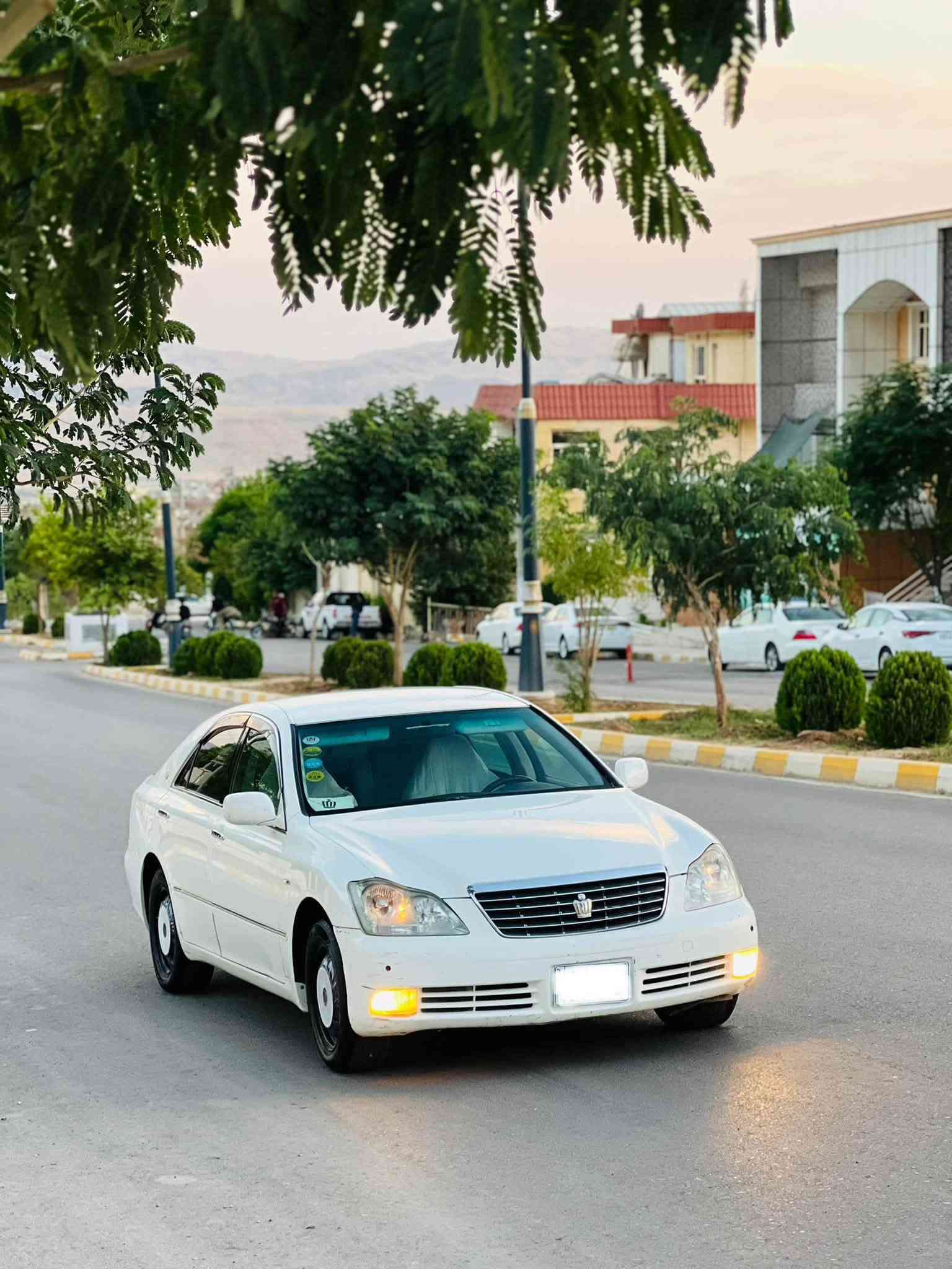 سه ياره كه براوه يه
كامل مه سروف كراوه 
ته بريد ساردوگه رم 
٢دگمه 
هه موگيانى به شه رت 
سه قف كه ڤه ر شانسى به شه رت 
سعر خوار بازار
***********

