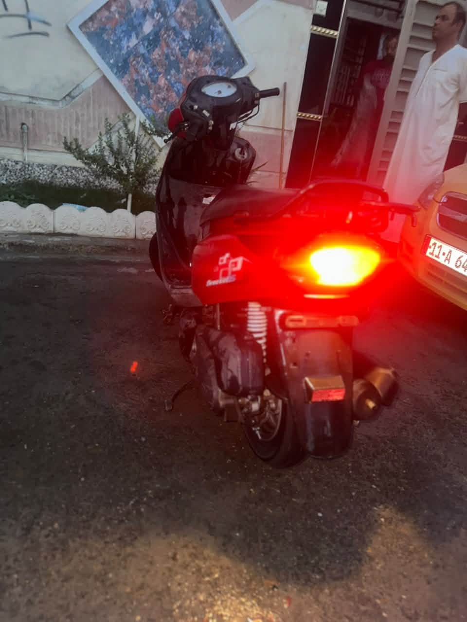 بغبغاء • جديدة • كفالة