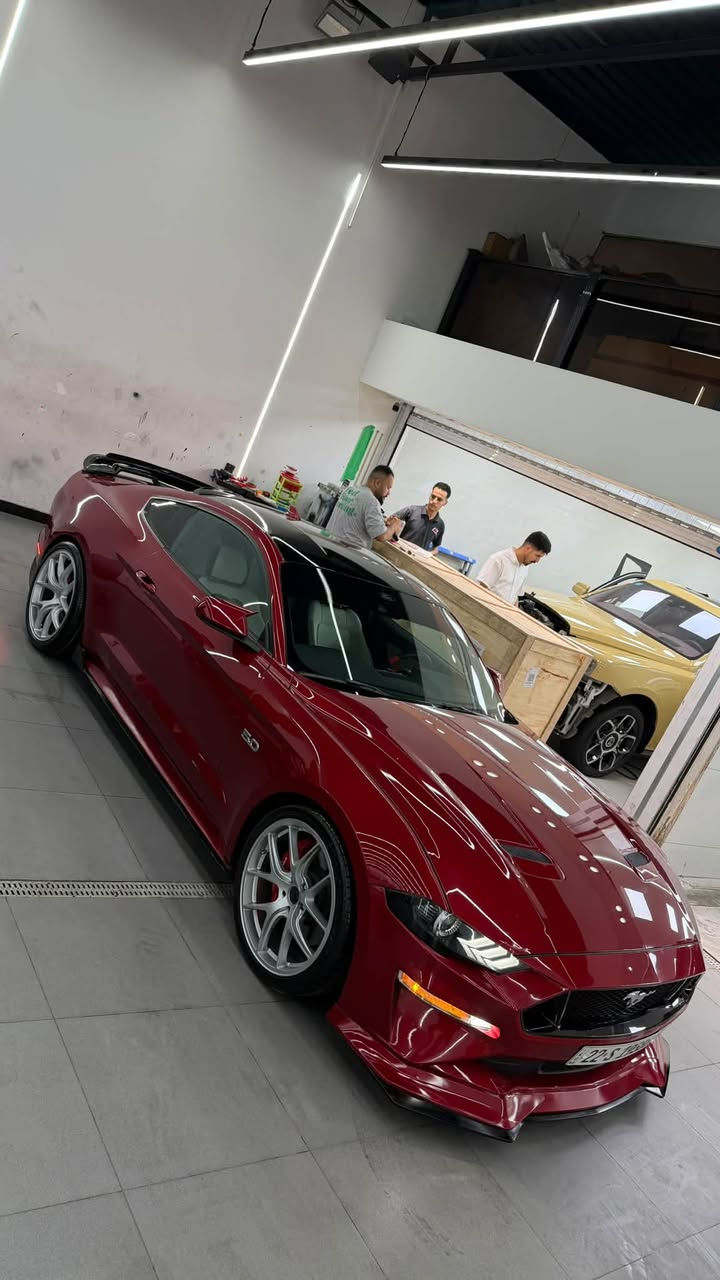 موستنك GT • ٢٠٢٣ • رقم اربيل