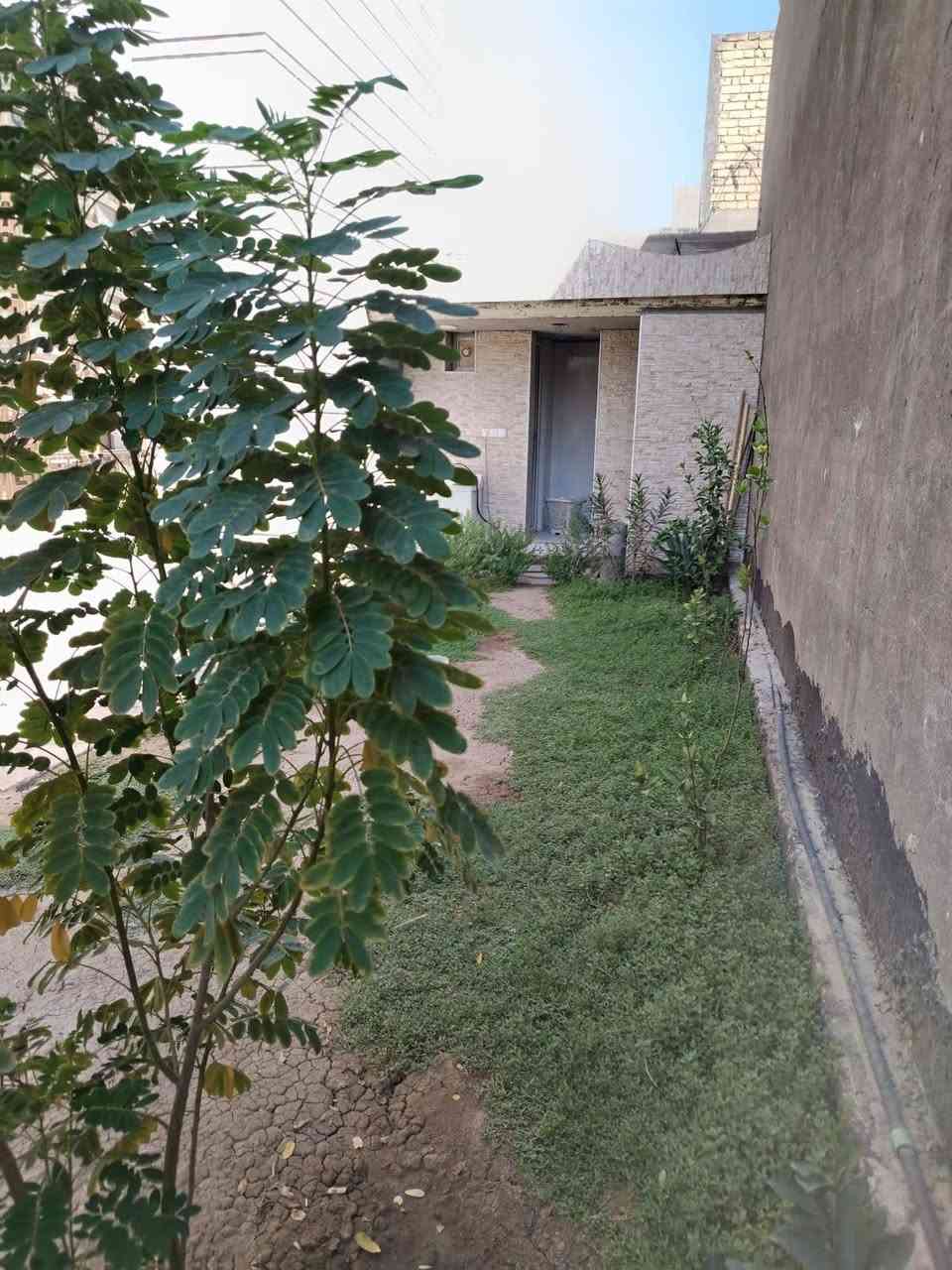 بيت للبيع طابو زراعي سند ٢٥ اصولي كافة الخدمات مساحه ٢٥٠ بناء حديث ١٨٠ طابقين والباقي حديقة وقطعة مجاوره الجمعيه قريب مدرسة نبع المعرفه ثاني فرع وقريب للشارع للاستفسار *********** الخاص مفتوح @إشارة
