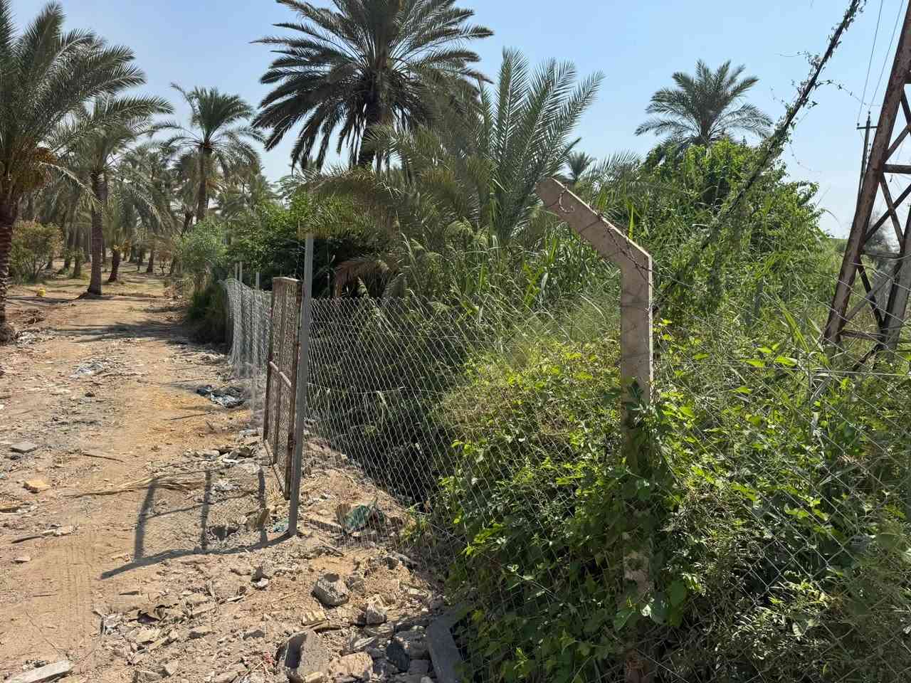 السلام عليكم 
الأرض صالحة للاستثمار شالايهات وبيع دوانم 
يوجد ١٠ دوانم ملك صرف يبعد عن طريق جزيرة بغداد السياحية ١٠ دقايق على الشارع العام البستان مسيجه لسياج بيارسي والها مدخلين رئيسي بصف الأرض أعمدة كهرباء ومي اساله 
البستان بيها مكينة كهربائية شغاله ومنصبه على نهر دجلة 

واجهة الأرض ١٠ دونم ٧٧ م والنزال ٢٧٤ م 
العنوان بغداد قضاء الراشدية منطقة ابو دالي 
السعر الرد على الخاص
***********
