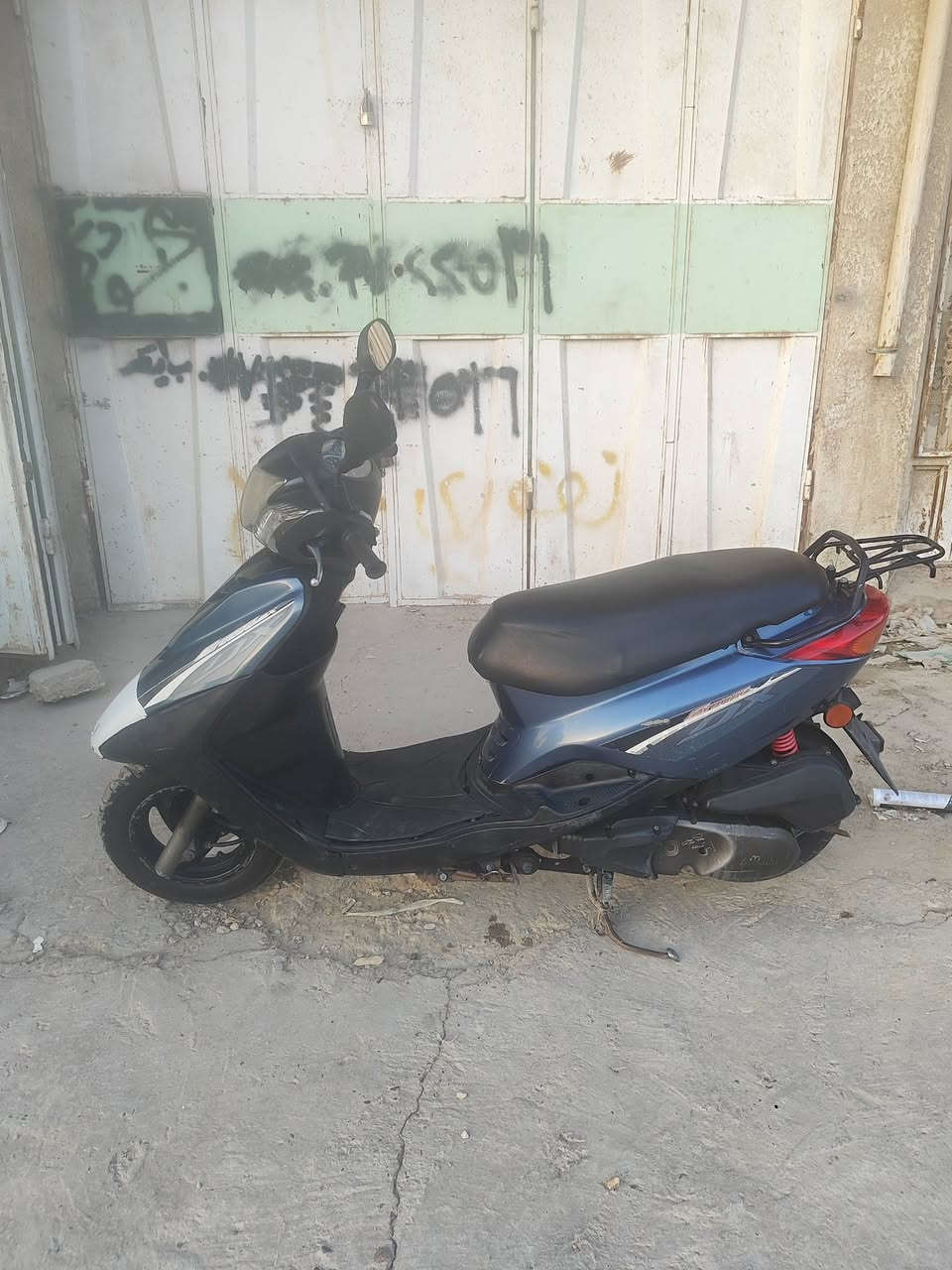 اكزز بغبغاء • نضيفه • مكفوله