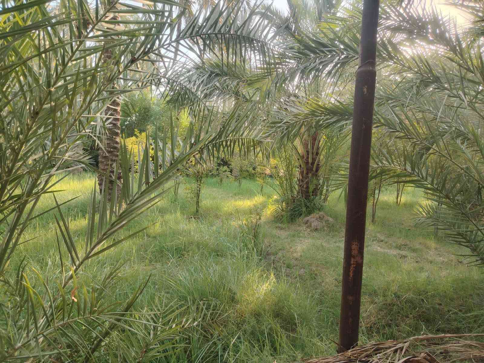 من رخصة الادمن 
للبيع...للبيع....للبيع 
دونمين طابو زراعي سند ٢٥تحويل مباشر شاطئيه بموقع مميز جدا  قرب معمل السمنت للاستفسار الاتصال على الأرقام 
***********
*********** او مراجعة مكتب دلهي مقابل مطعم البهار حي المعلمين الثانيه
