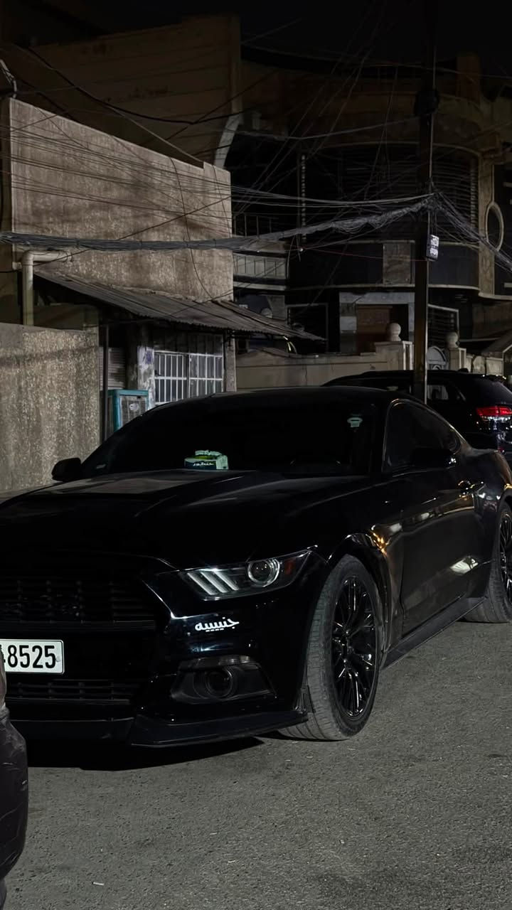 السلام عليكم فورد موستنك 6V نضيفه لاتقارنوها بلمهجومات لي م يعجبه يعبر منشور مكينه ما مفتوحه مبدله وكاله صارلها سنه ضمان طول العمر 

سونرها بل منشور 
بدون لغد و بدون شاصي فقط رصعه خفيفه ب طرف شاصي ما مأثره نهائياً
مواصفات ال6 معروفه 

بانزين فقط محسن داير دهن موتل  🔥

مبرمجه شلعه جي تي 🔥

تنفس طبيعي 🔥

نوع الهيكل: (Fastback)🔥

ويل Rosh 🔥

تثبيت سرعة 🐎

كامرة خلفية🖥️

تبريدها يخبل 🥶

3 مودات قيادة 🐎

شفتات 🐎

اكزوز تفصال X Pipe مع Down Pipe🔥

مع دبات Rosh🔥

مع نيكلات Rosh🔥

سقف روز رايز😋

شاشه كار بلي أندرويد 🖥️

رقم *********** واتساب فقط 

سعر 150 و بي مجال بسيط 🔥🔥🔥.
