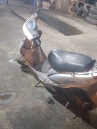منغولي • نضيفه • المسيب