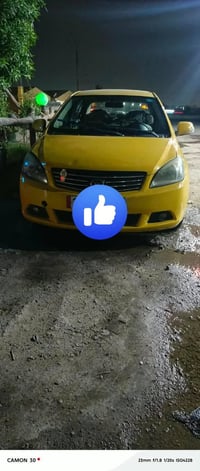 ٢٠١٣ • رقم بابل • صبغ عام