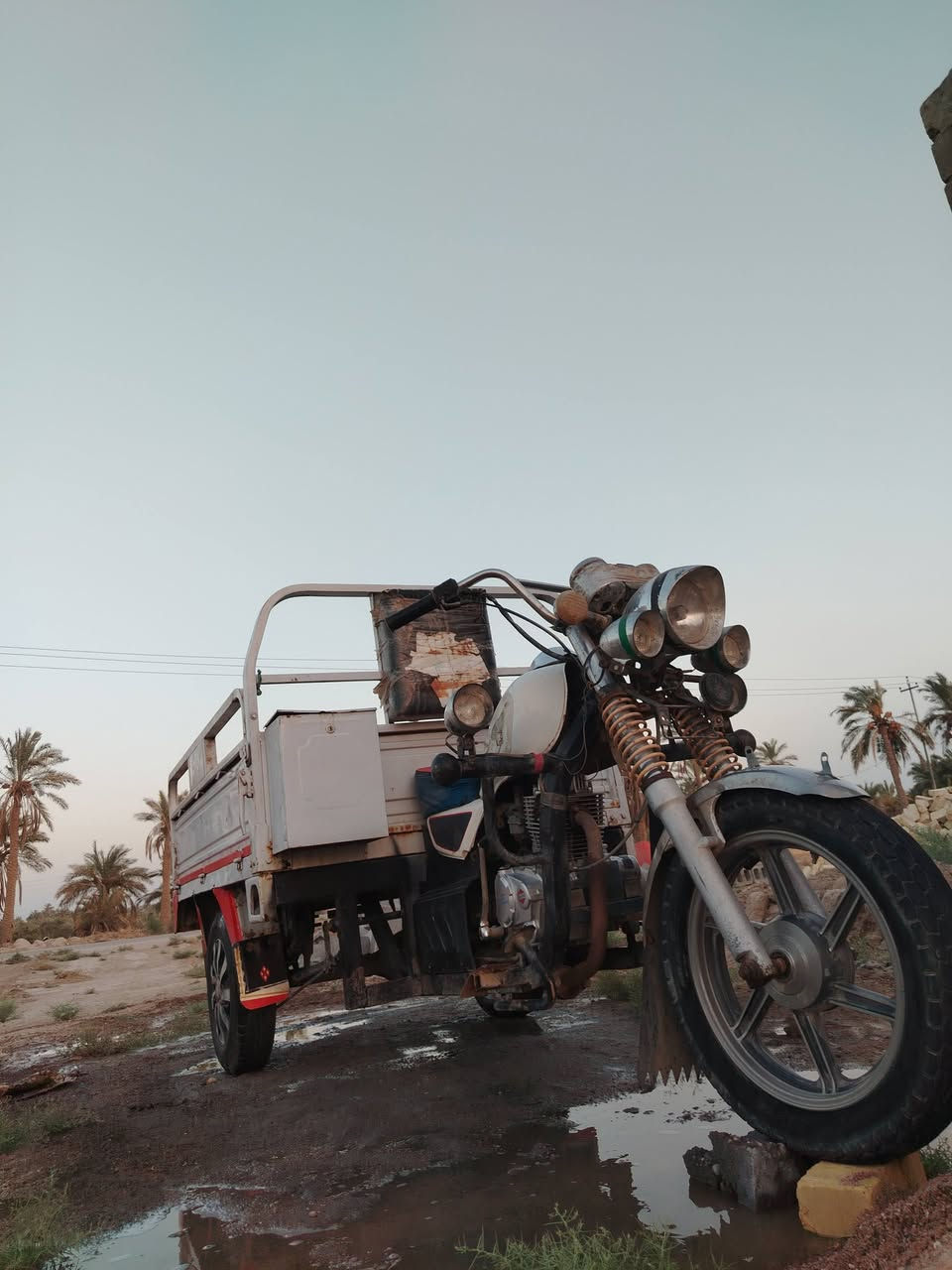 موديل ١١ • باب أول • سوك الشيوخ