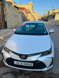 كورلا ٢٠٢٣ • كفالة عام • رقم اربيل