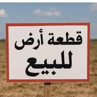 صابيات • ٢٥٠م • فوق الانبوب