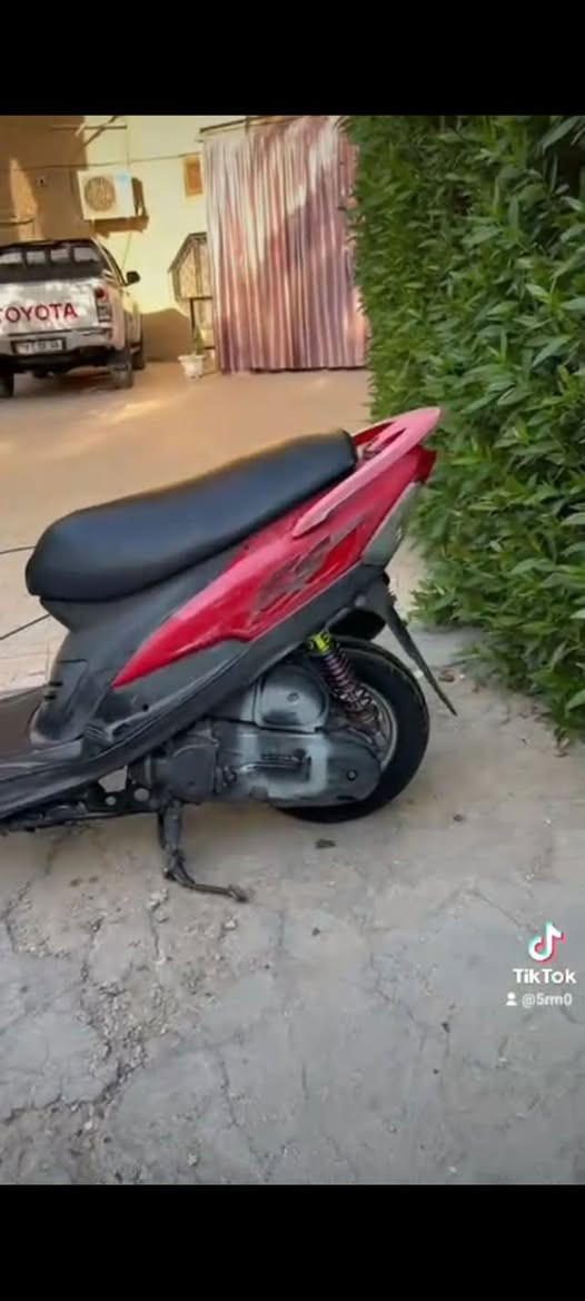 ماكس • مجال • تيك توك