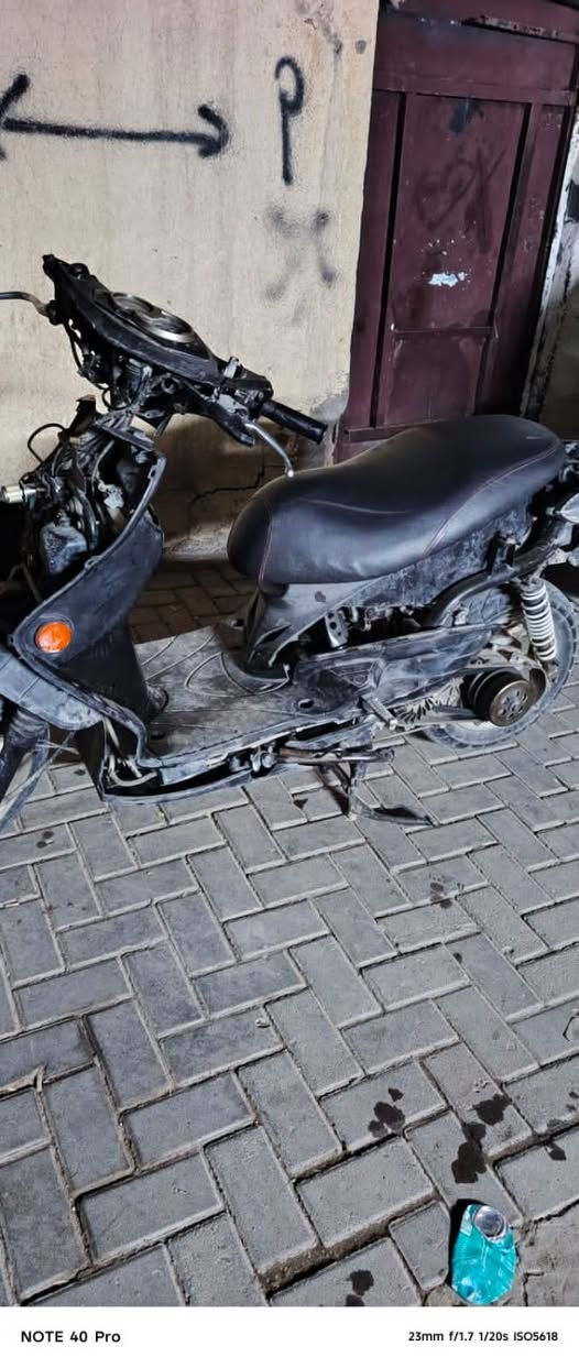 سكنس فحل • بدون كفرات • مجال قليل