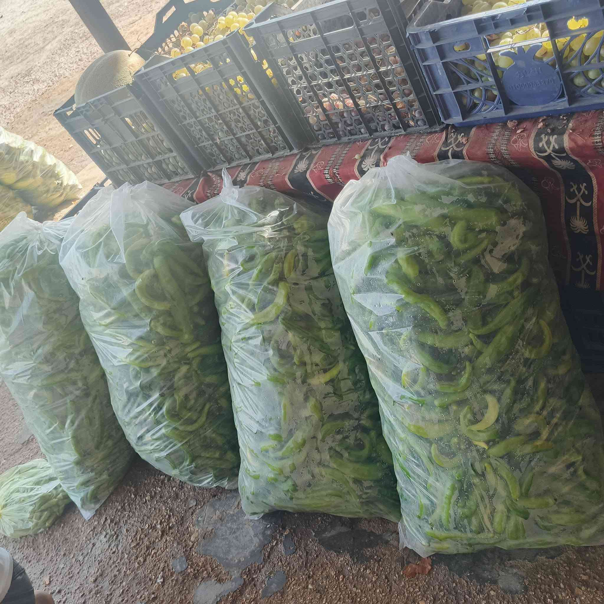 السلام عليكم علوه التساهل ترحب بكم عروض اليوم 
طماطه 400
بتيته 900
كوجه درجه اولي 750بل صندوك 
فلفل مزحلط درجه اولي الكيس 5000 الوزن 13 
بذنجان درجه اولي شرط ب 400 
تفاح درجه اولي 750 
ركي عل سجين شرط 3 بلف مال مشاريع 
ركي 250 
عنب من 250 الي 1250 
جميع انواع الحشايش متوفره 
كل نوعيات  الخضره متوفره 
العنوان ال كرابله شارع البره شرجي المدرسه النهضه الشرقيه مجاور اسواق التساهل
