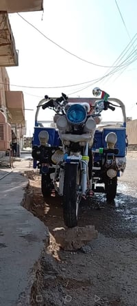 ستوته • مكفولة • الدعامية