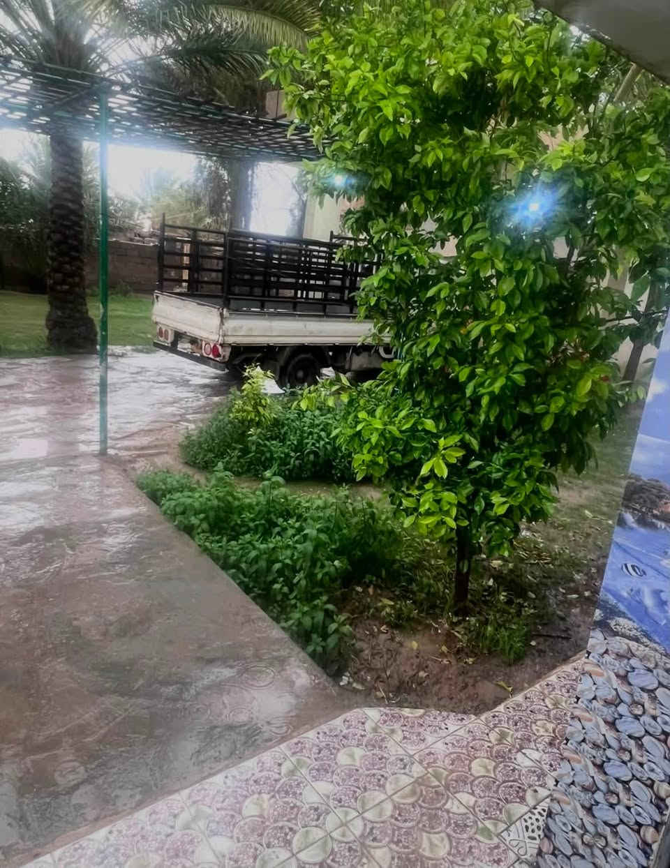 للبيــــــع ( بيع مستعجل )
8 دونم طابو زراعي سند 25 البيع شلع وغير قابلة للتقسيم تصلح للسكن والاستثمار

 

تحتوي على بيت سكن 250م² و حقل مواشي مع ٥٠ نخلة تمر مثمرة ومتنوعة الاصناف 

الموقع: واسط - العزيزية - اسواق كلنا العراق

خلف معارض السيارات  كما موضح بالخريطة

تبعد 400 متر عن الشارع العام 10 دقائق توصل لوسط العزيزية

الواجهة: 230 متر

الخدمات: تبليط واصل + ماء اسالة + كهرباء 3 فيز + مضخة ماء كهربائية مجازة

السعر: 750 مليون

مجال للمساومة البسيطة للجادين فقط

تنويه: المعاينة الميدانية ضرورية للجادين بالشراء. وهي التي تبين حقيقة الارض 

للاستفسار***********

