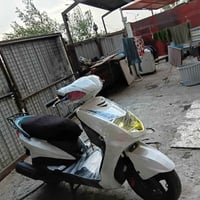 سكنس • ياباني • سلف وهندر