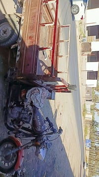 ستوته • ام طير • اوراق