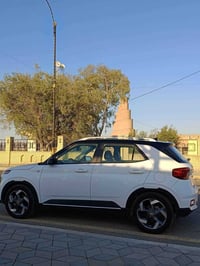 فينو • ٢٠٢٢ • بدون صبغ