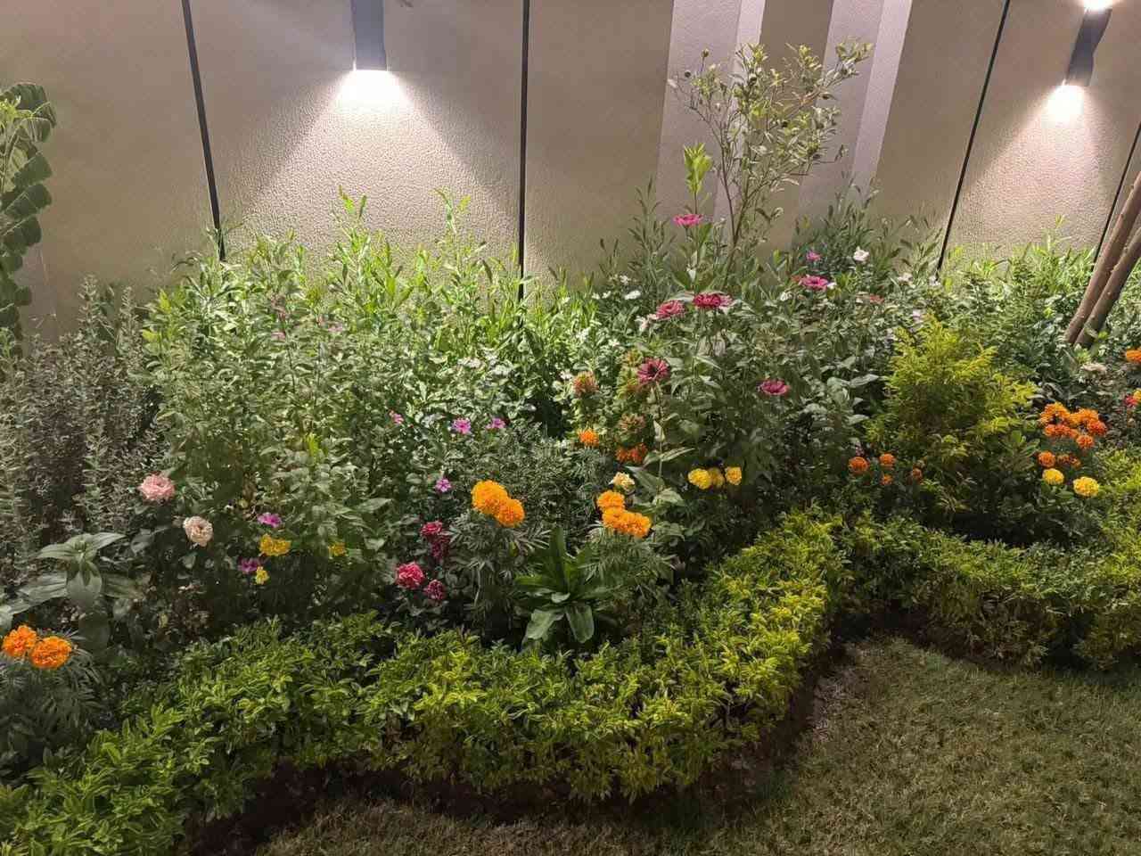 ديكورات حدائق • منزلية • سعر مناسب
