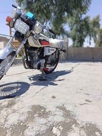 تايجر • مفتوح • ٢٠