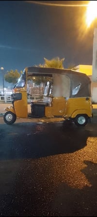 موديل ٢٠٢١ • ليموني • أوراق شهر٨