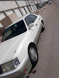 راس الثور • نقل جثه • تحويل ثاني يوم