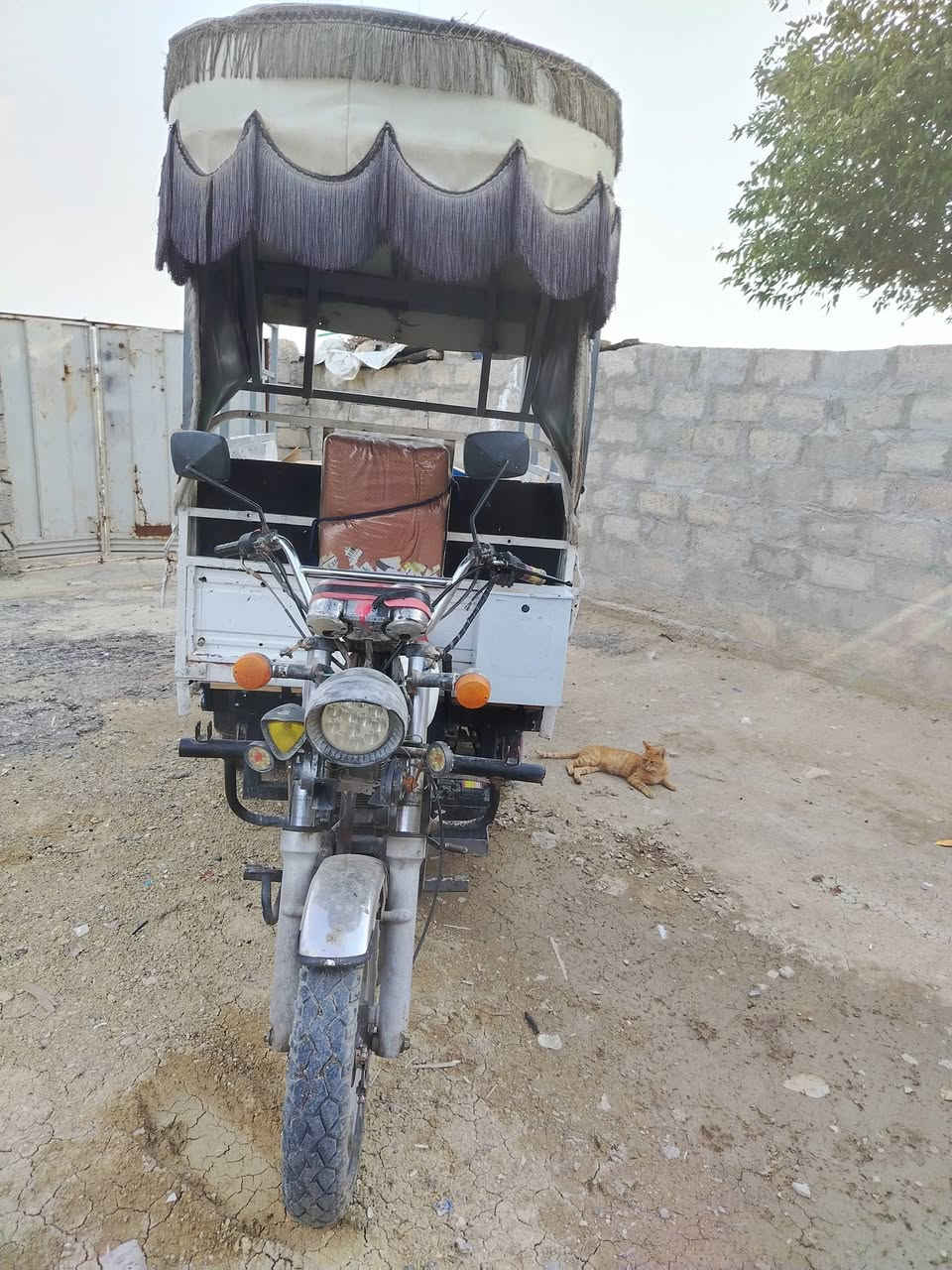 شرط • مكينا كير شاصي • وادي حجر
