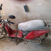 هارلي • شغاله • تحتاج بصمه