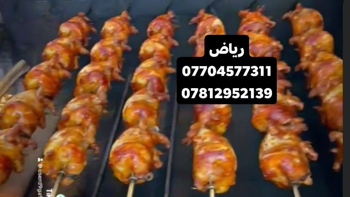 شواية دجاج • ٥٠دجاجة • ستلس غذائي