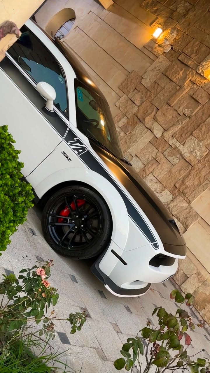 شلون شباب الطيبه
جالنجر TA  وايد بدي اصل موديل 2022 محرك 6400  ماشيه  12 الف ميل اخت زيرو 
سياره فول موصفات ومستحيل تلكه بنضافتها  ابد بدون شخط  حته دعاميه.  بدون شخط    سياره. كلين تايتل فقط فاتحين لبطانه مال باب  وخاليها بالسياره. وفاتحين ثنين براغي من بنيد فقط  يعني بدون صبغ وبدون تبديل  ابد  وحنزل صور امريكا وياها.  سياره  مغلفه بي بي اف يم جوشلد 35 ورقه  وبيها تايرات  نيتو سعرها. 12 ورقه. 
موصفات. 
فتحه سقف 
 فجوج.6 بستم 
سستم صوت 12 سماعه ودمام 
 لايت زنون 
كراسي كنتاره. مع تبريد وتسخين  
سياره مكفوله من صبغ. ولبارد ولنتر بول  والله يشهد مكلفه هايه سياره فوك 5 شدات. لين سياره حاله حال وكاله ومحافضين عليها كلش  مكاني بغداد  ***********  وسعرها مناسب بالنسبه هيج جداده وكلين

