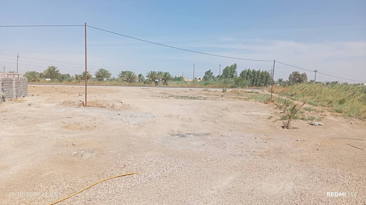 كوت بغداد • ١٠٠٠م • زراعي