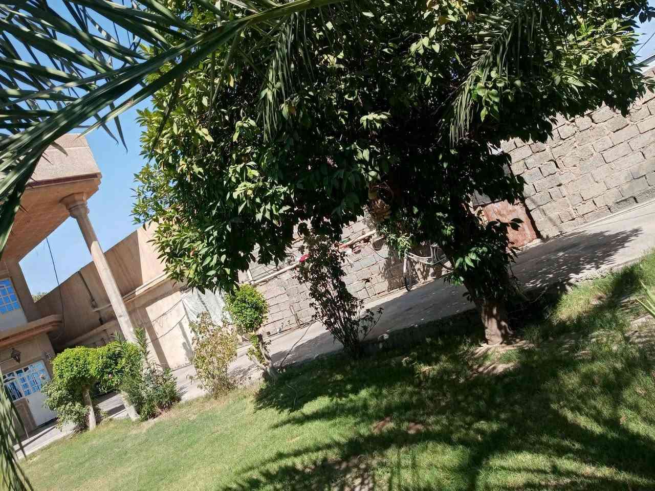 سلام عليكم البيت البيع طابقين الطابق الأول يحتوي على مطبخ استقبال صاله كبيره غرفة صحيات كامله و خارج البيت حديقه كبيره كراج كبير طرمه صحيات خارجيه و من ضمن البيت محل كبير على شارع و طابق الثاني يحتوي على ثلاثه غرف منام كاملة مساحة البيت 450 متر سعر البيت 360 مليون بي مجال انتصال على رقم موجود فقط ‏‪***********‬‏...
البيت زراعي مكان بغداد منطقة شاطىء التاجي.
