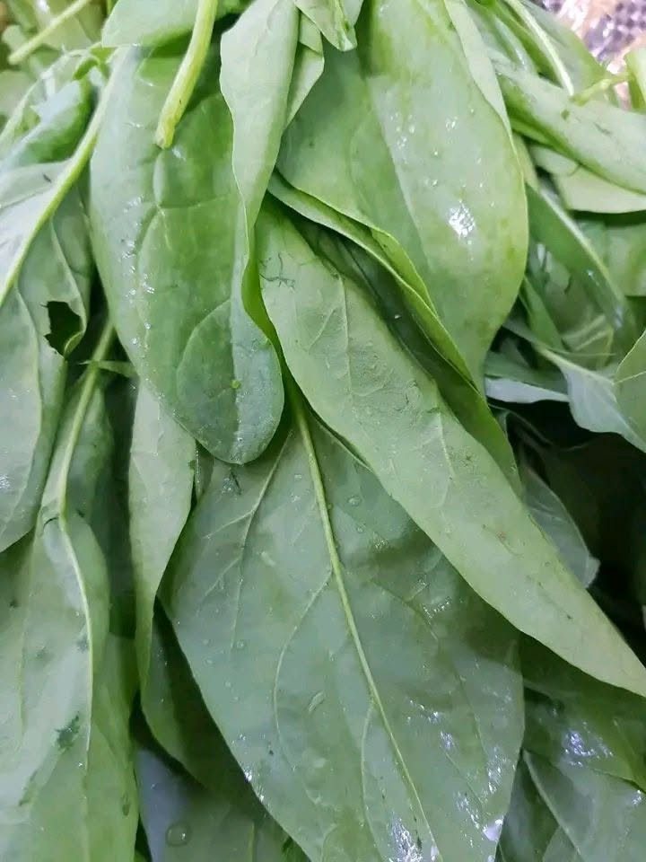 سبيناع • باكة • توصيل