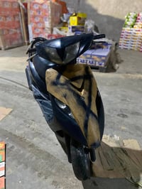 ثعلب • كلجات رياضي • سلف