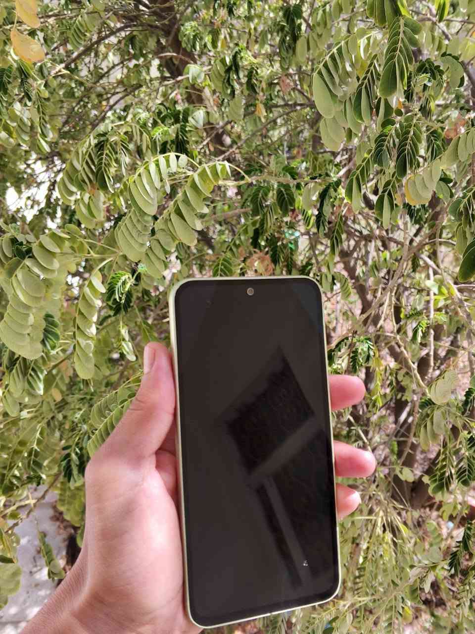 السلام عليكم... 
جهاز للبيع... 
سامسونج A54 5G ذاكرة 256 رام 8 الجهاز كله بلادي  الجهاز مفول وكله شغال الجهاز طك كاراون اخذته عل ايدي السعر 180 وبي مجال حك الجيه مكاني ديالى بعقوبه فلكه الامين ***********

