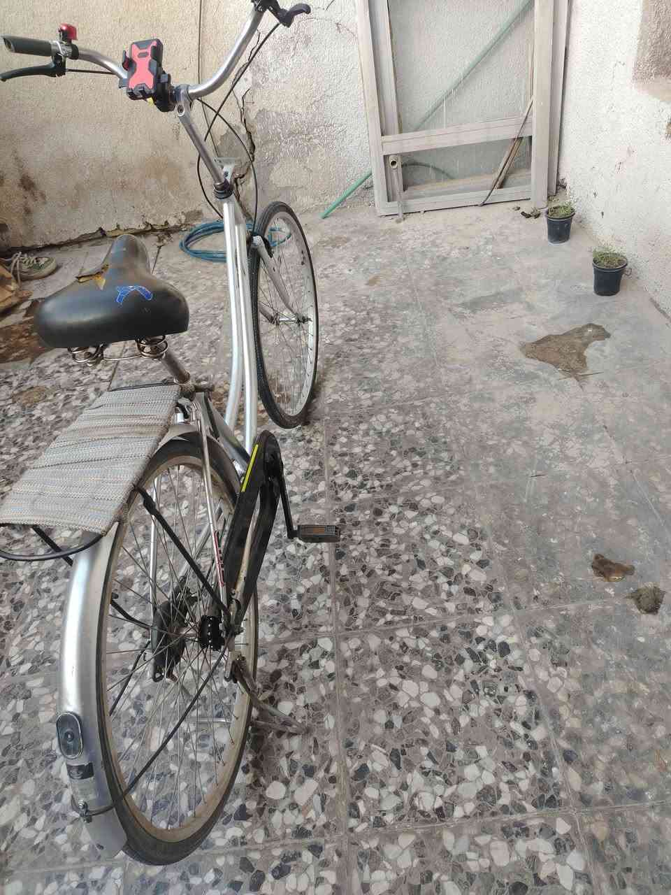 بناتي • نضيف • البياع