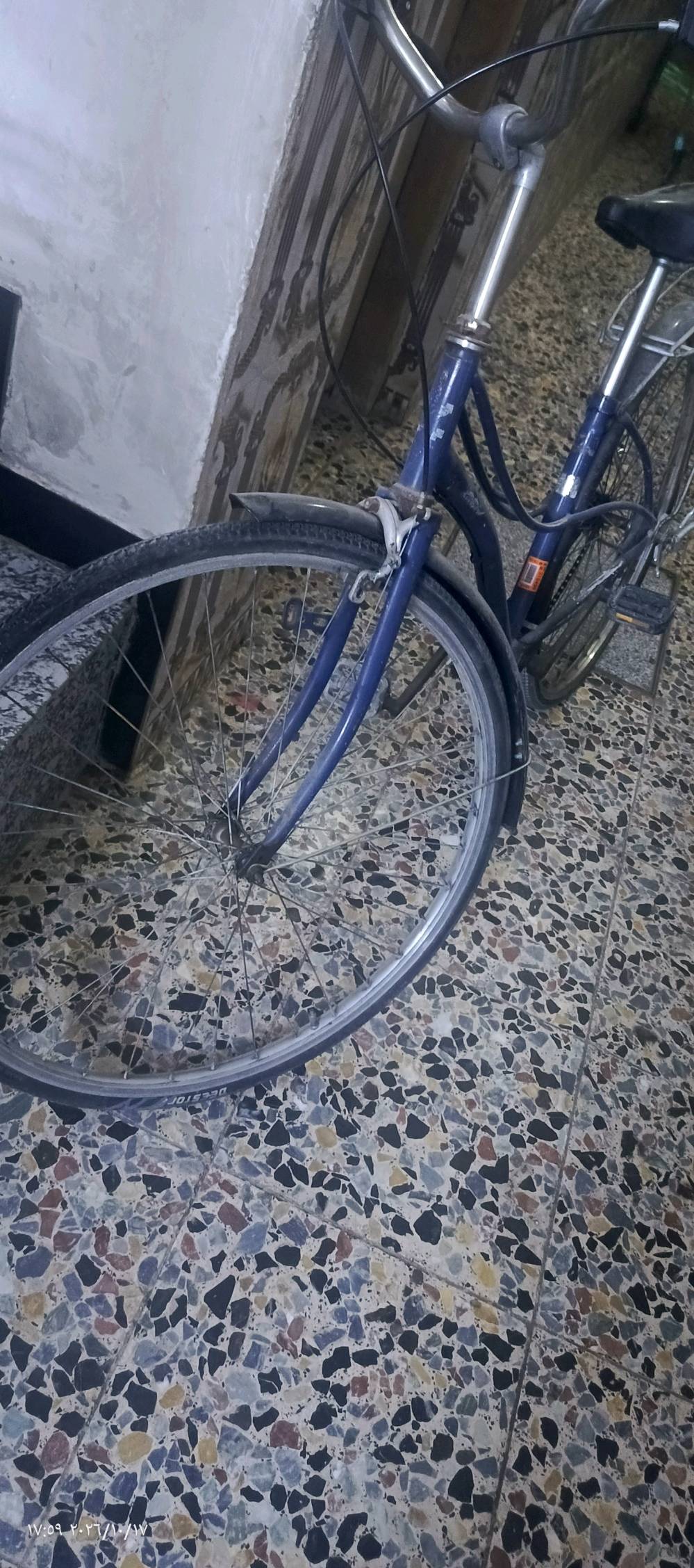 بايسكل • واتساب